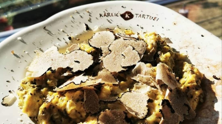 Karlić tartufi, Paladini